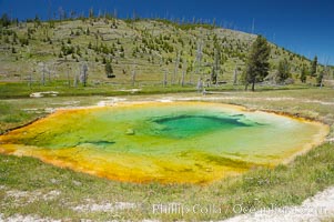 Amanda Hot Spring, west of parking lot at Fairy Falls trailhead.   Midway Geyser Basin, Yellowstone National Park, Wyoming