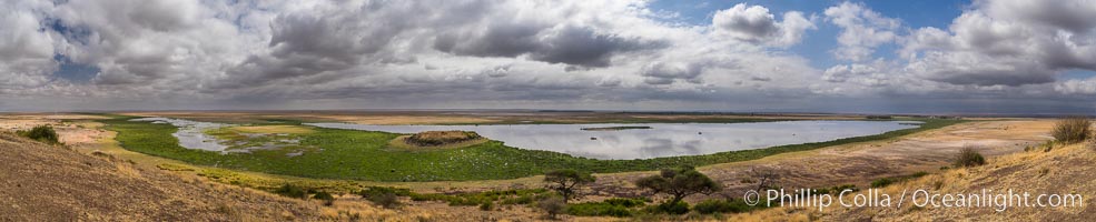 Amboseli National Park swamp viewed from Observation Hill, panoramic photo