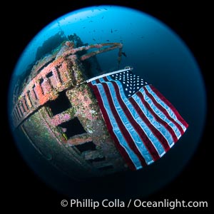 American Flag Flying Over The Wreck of the HMCS Yukon in San Diego.  Deliberately sunk in 2000 as part of San Diego's Wreck Alley to form an artifical reef, the HMCS Yukon is a 366-foot-long former Canadian destroyer.  It is encrusted with a variety of invertebrate life, including Cornyactis anemones which provide much of the color seen here