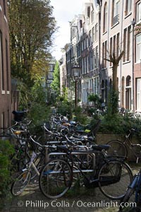 Amsterdam city scene