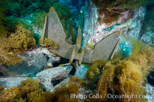 A boat anchor securely placed between underwater boulders, Guadalupe Island (Isla Guadalupe)