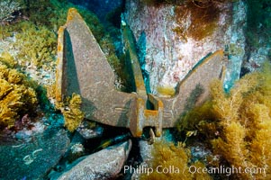 A boat anchor securely placed between underwater boulders, Guadalupe Island (Isla Guadalupe)