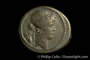 Ancient Roman coin, minted by P. Clodius (42 B.C.), (silver, denom/type: Denarius) (Denarius Cr. 494/23, SYD 1117, BAB (Claudia) 15.)