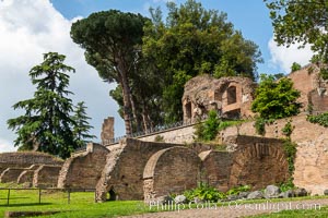 Ancient Roman ruins on the Palatine Hill, Rome