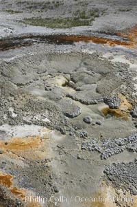Anemone Geyser.  Between eruptions, Anemone Geysers vent pool empties completely. Upper Geyser Basin, Yellowstone National Park, Wyoming