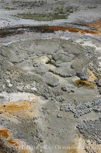 Anemone Geyser.  Between eruptions, Anemone Geysers vent pool empties completely. Upper Geyser Basin, Yellowstone National Park, Wyoming