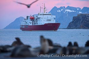 M/V Polar Star, an icebreaker expedition ship, lies at anchor in Right Whale Bay, South Georgia Island.  Antarctic fur seals on the beach, and the rugged South Georgia Island mountains in the distance.  Sunset, dusk, Arctocephalus gazella