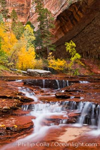 Archangel Falls in autumn, near the Subway in North Creek Canyon, with maples and cottonwoods turning fall colors, Zion National Park, Utah