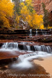 Archangel Falls in autumn, near the Subway in North Creek Canyon, with maples and cottonwoods turning fall colors, Zion National Park, Utah