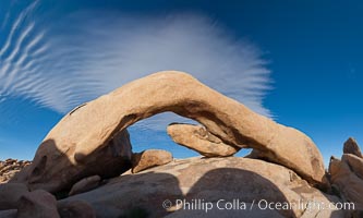 Arch Rock in Joshua Tree National Park.  A natural stone arch in the White Tank area of Joshua Tree N.P