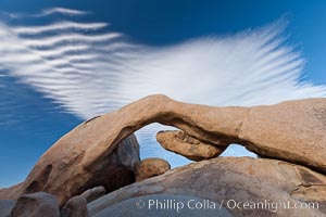 Arch Rock in Joshua Tree National Park.  A natural stone arch in the White Tank area of Joshua Tree N.P.