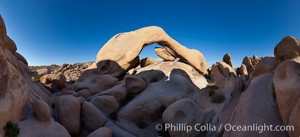 Image 26799, Panorama of Arch Rock, showing ancient stone boulders that are characteristic of Joshua Tree National Park. California, USA, Phillip Colla, all rights reserved worldwide.   Keywords: Panorama:Panoramic photo:Arch rock:Natural arch:stone arch:joshua tree national park:california:outdoors:stone:outside:scene:scenery:scenic:landscape:national park:granite:rock.
