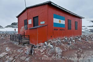 Argentine research hut on Petermann Island, Antarctica, Pygoscelis papua, Peterman Island