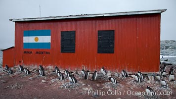 Argentine research hut on Petermann Island, Antarctica, Pygoscelis papua, Peterman Island