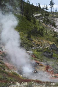 The Artist Paint Pots area of Yellowstone National Park holds steaming pools, mud pots (roiling mud mixed with sulfuric acid and steam) and paint pots (mud pots colored with dissolved minerals)