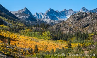 Aspen trees cover Bishop Creek Canyon above Aspendel, Sierra Nevada Mountains, California