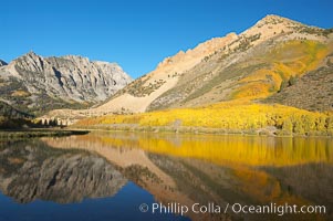 Aspen trees reflected in North Lake, Bishop Creek Canyon.