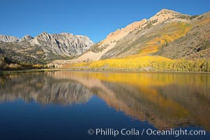 Aspens changing into fall colors, yellow and orange, are reflected in North Lake in October, Bishop Creek Canyon, Eastern Sierra, Populus tremuloides, Bishop Creek Canyon, Sierra Nevada Mountains