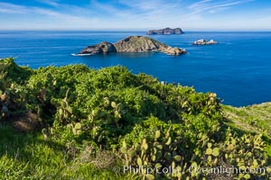 Atop South Coronado Island, aerial photo, Coronado Islands (Islas Coronado)