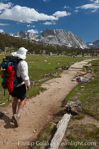 Hiker traversing the John Muir Trail to Fletcher Peak and Vogelsang Peak through alpine meadow in Yosemite's high country, trail on approach to Vogelsang High Sierra Camp, Yosemite National Park, California