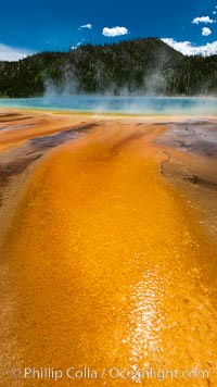 Bacteria mats and Grand Prismatic Spring.  The orange color is due to bacteria which thrive only on the cooler fringes of the hot spring, while the hotter center of the spring hosts blue-colored bacteria, Midway Geyser Basin, Yellowstone National Park, Wyoming