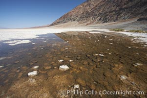 Badwater, Death Valley.  A spring feeds this small pool year round.  The water is four times more saline than ocean water.  The small Badwater snail (Assiminea infima) is found only in Death Valley, in spring-fed pools such as these, and is threatened by habitat destruction.  At 282 feet below sea level, Badwater is the lowest point in North America.