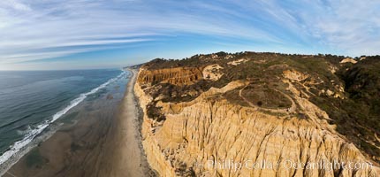 Torrey Pines balloon aerial survey photo.  Torrey Pines seacliffs, rising up to 300 feet above the ocean, stretch from Del Mar to La Jolla. On the mesa atop the bluffs are found Torrey pine trees, one of the rare species of pines in the world. Peregrine falcons nest at the edge of the cliffs. This photo was made as part of an experimental balloon aerial photographic survey flight over Torrey Pines State Reserve, by permission of Torrey Pines State Reserve, San Diego, California