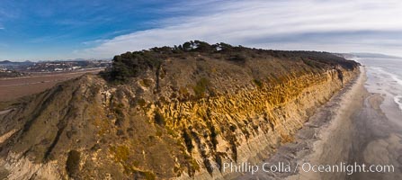 Torrey Pines balloon aerial survey photo.  Torrey Pines seacliffs, rising up to 300 feet above the ocean, stretch from Del Mar to La Jolla. On the mesa atop the bluffs are found Torrey pine trees, one of the rare species of pines in the world. Peregine falcons nest at the edge of the cliffs. This photo was made as part of an experimental balloon aerial photographic survey flight over Torrey Pines State Reserve, by permission of Torrey Pines State Reserve.