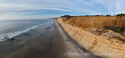 Torrey Pines balloon aerial survey photo.  Torrey Pines seacliffs, rising up to 300 feet above the ocean, stretch from Del Mar to La Jolla. On the mesa atop the bluffs are found Torrey pine trees, one of the rare species of pines in the world. Peregrine falcons nest at the edge of the cliffs. This photo was made as part of an experimental balloon aerial photographic survey flight over Torrey Pines State Reserve, by permission of Torrey Pines State Reserve, San Diego, California