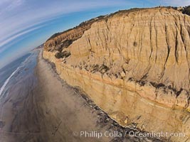 Torrey Pines balloon aerial survey photo.  Torrey Pines seacliffs, rising up to 300 feet above the ocean, stretch from Del Mar to La Jolla. On the mesa atop the bluffs are found Torrey pine trees, one of the rare species of pines in the world. Peregrine falcons nest at the edge of the cliffs. This photo was made as part of an experimental balloon aerial photographic survey flight over Torrey Pines State Reserve, by permission of Torrey Pines State Reserve, San Diego, California