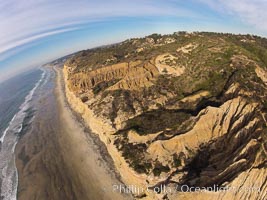 Torrey Pines balloon aerial survey photo.  Torrey Pines seacliffs, rising up to 300 feet above the ocean, stretch from Del Mar to La Jolla. On the mesa atop the bluffs are found Torrey pine trees, one of the rare species of pines in the world. Peregrine falcons nest at the edge of the cliffs. This photo was made as part of an experimental balloon aerial photographic survey flight over Torrey Pines State Reserve, by permission of Torrey Pines State Reserve, San Diego, California