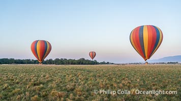 Ballooning over the Maasai Mara National Reserve and Mara River, Kenya