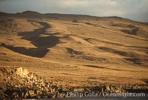 Volcanic terrain and shoreline, Guadalupe Island (Isla Guadalupe)