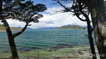 Beagle Channel from Tierra del Fuego National Park, Argentina. Ushuaia, natural history stock photograph, photo id 23616