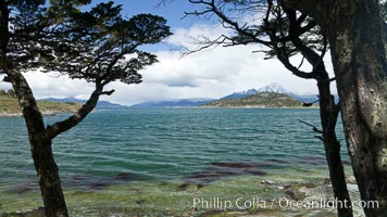 Beagle Channel from Tierra del Fuego National Park, Argentina, Ushuaia