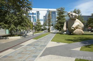 Bear is another of the odd outdoor "art" pieces of the UCSD Stuart Collection.  Created by Tim Hawkinson in 2001 of eight large stones, it sits in the courtyard of the UCSD Jacobs School of Engineering, University of California, San Diego, La Jolla