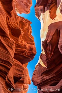 Lower Antelope Canyon, a deep, narrow and spectacular slot canyon lying on Navajo Tribal lands near Page, Arizona. Navajo Tribal Lands, USA, natural history stock photograph, photo id 37774