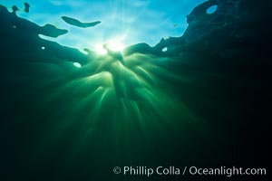 Beautiful underwater sunburst, glittering light through the ocean surface, Sea of Cortez, Baja California, Mexico.