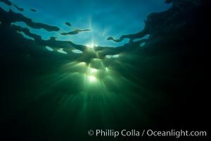 Beautiful underwater sunburst, glittering light through the ocean surface, Sea of Cortez, Baja California, Mexico