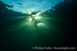 Beautiful underwater sunburst, glittering light through the ocean surface, Sea of Cortez, Baja California, Mexico