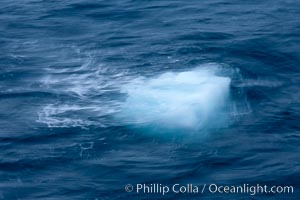 Bergy bit of ice, bobbing in the ocean, blurred due to time exposure, Coronation Island, South Orkney Islands, Southern Ocean