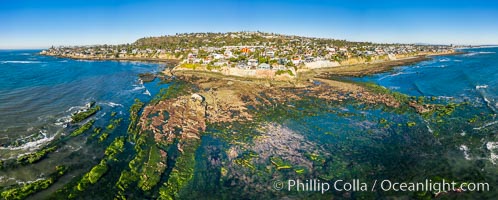 Bird Rock Reef Exposed at Extreme Low Tide, La Jolla, California