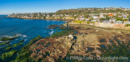 Bird Rock Reef Exposed at Extreme Low Tide, La Jolla, California