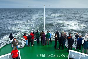 Birdwatching, on the stern deck of the ship M/V Polar Star.  While en route between remote ocean islands such as the Falklands, South Georgia, South Orkneys and South Shetlands, seabirds often fly alongside the boat