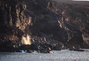 Blowhole, Guadalupe Island (Isla Guadalupe)