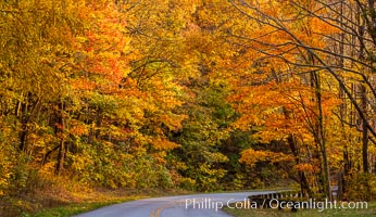 Blue Ridge Parkway Fall Colors, Asheville, North Carolina. USA, natural history stock photograph, photo id 34635