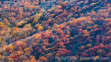 Blue Ridge Parkway Fall Colors, Asheville, North Carolina