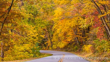 Blue Ridge Parkway Fall Colors, Asheville, North Carolina