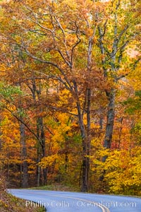 Blue Ridge Parkway Fall Colors, Asheville, North Carolina