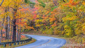 Blue Ridge Parkway Fall Colors, Asheville, North Carolina. USA, natural history stock photograph, photo id 34650